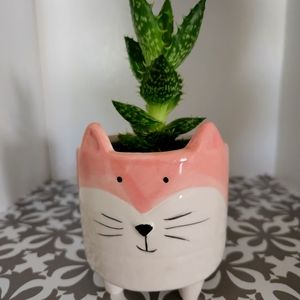 Ceramic plant pot